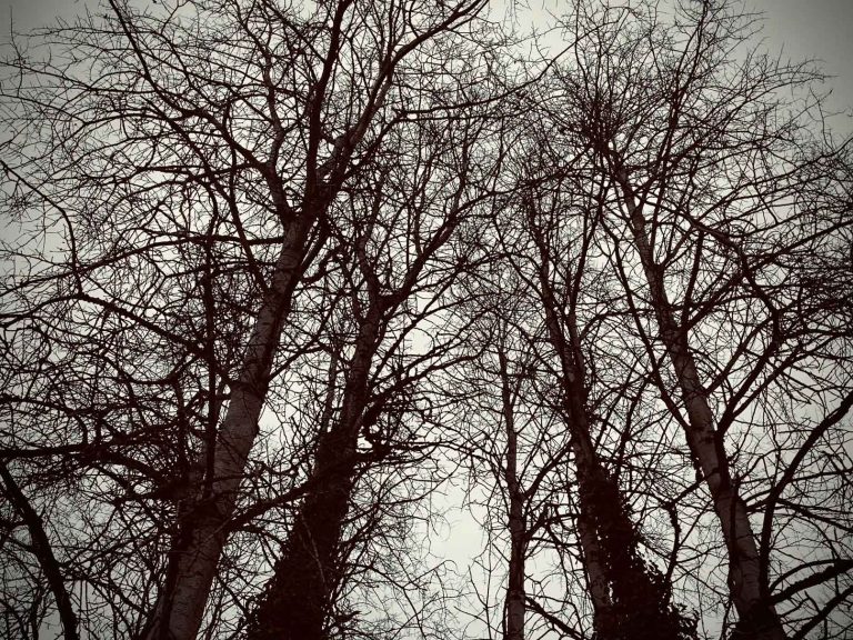 The Hardest Part of Practice: Practicing!