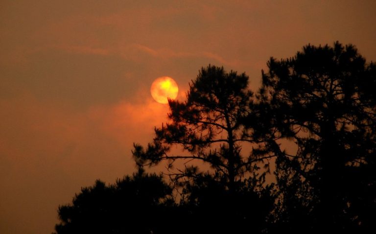 The End of Summer: How the Climate Crisis Upends the Cheery Season