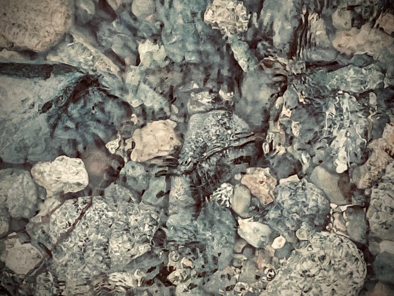 Mental Health in the Dark:  How to Cope with Seasonal Affective Disorder